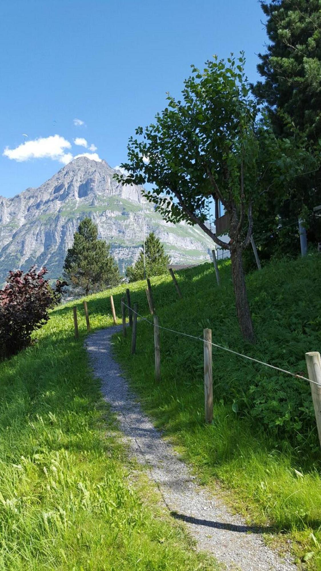 Chalet Waergistal Grindelwald Luaran gambar