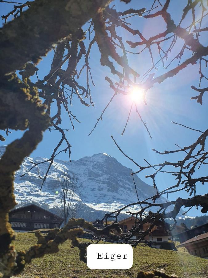 Chalet Waergistal Grindelwald Luaran gambar