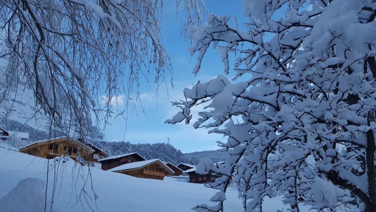 Chalet Waergistal Grindelwald Luaran gambar