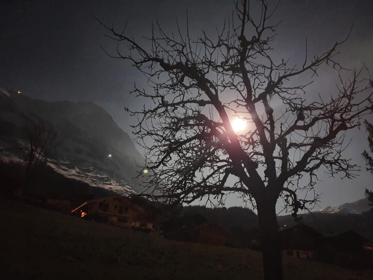 Chalet Waergistal Grindelwald Luaran gambar