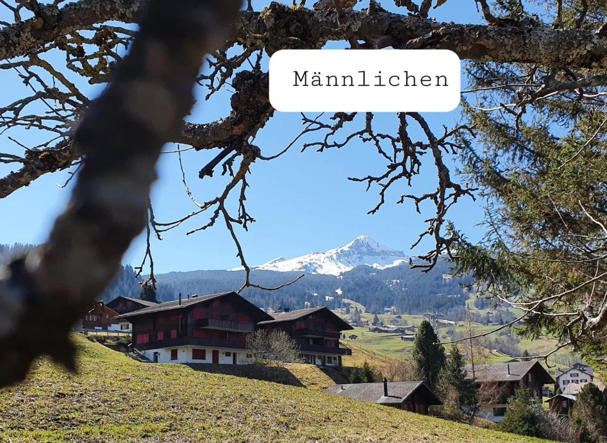 Chalet Waergistal Grindelwald Luaran gambar